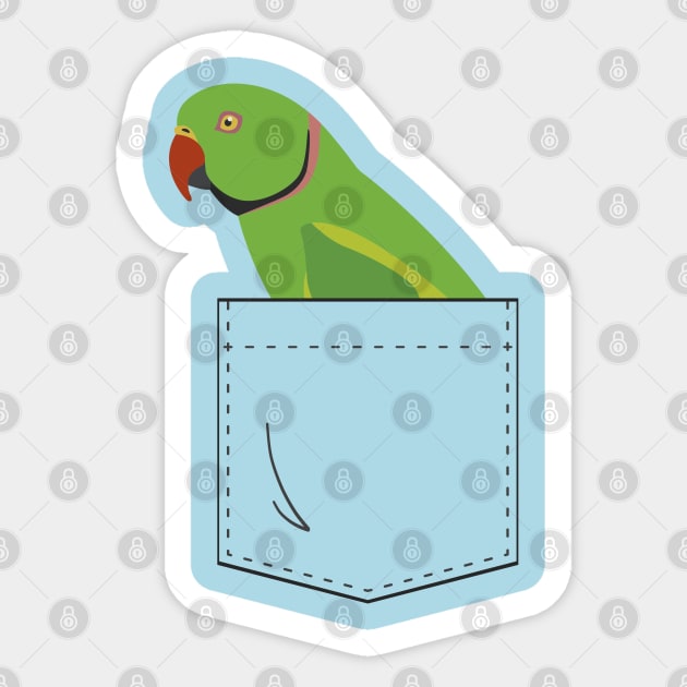 Indian Ringneck Parakeet Parrot Male Front Pocket Sticker by Einstein Parrot
